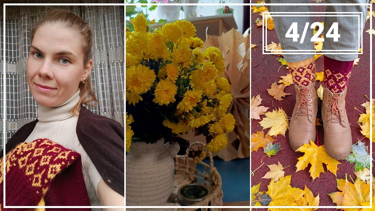 Гриффиндорские носки | Прогулки по городу | Новый член семьи