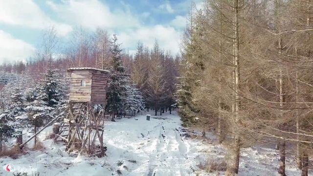 Нежная музыка, успокаивает нервную систему и радует душу - лечебная музыка для сердца и сосудов