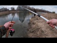 Форелевый платник в Кокино