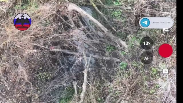 😇Карма😇
Голодающий Гражданин ЕС вылез из своих евроапартаментов для того что бы обокрасть труп🔽🔽