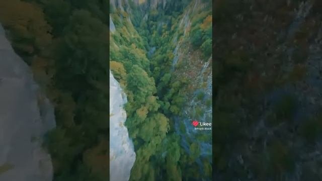 Like_7420564648035234462.mp4