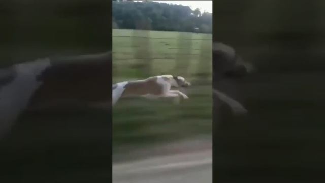 Мчимся на всех парах по делам с утра