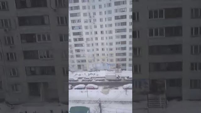 Видео WhatsApp 2024-12-11 в 14.31.17_1dfbc3f9