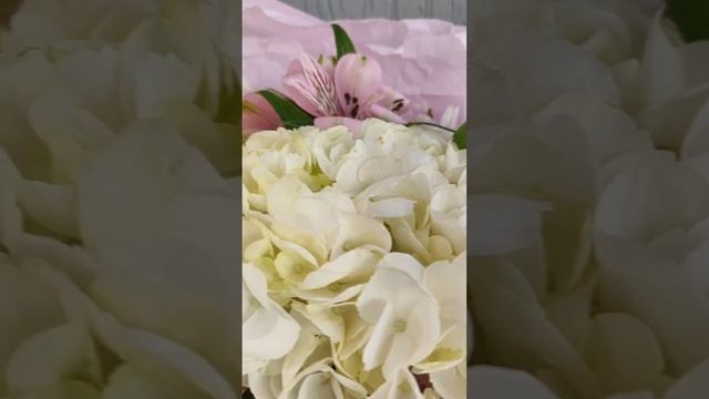 document_5388967922389509113