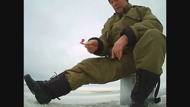 Как ловить на безмотылку или окунь для вороны