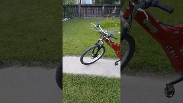 Jeep camanche classic 21 speed bike