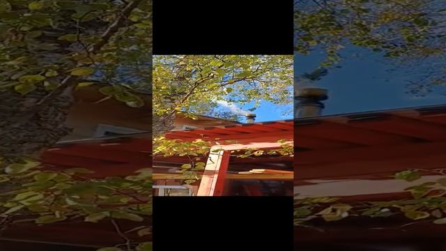 video-dc821096e517166c55eaafd729f00332-V