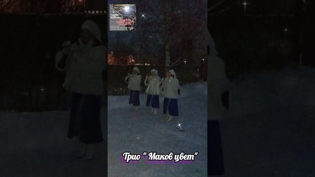 Презентация зимнего маршрута (Демидовский сад). Пермский край (Соликамск).