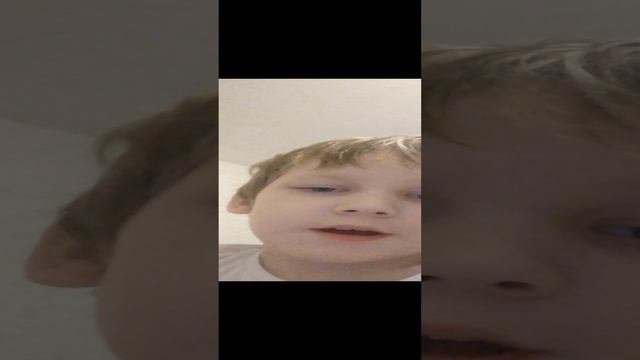 VID_20241211_191632.mp4