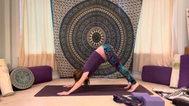 Slow Flow Vinyasa Yoga - Front/Back Body/Shoulder Focus