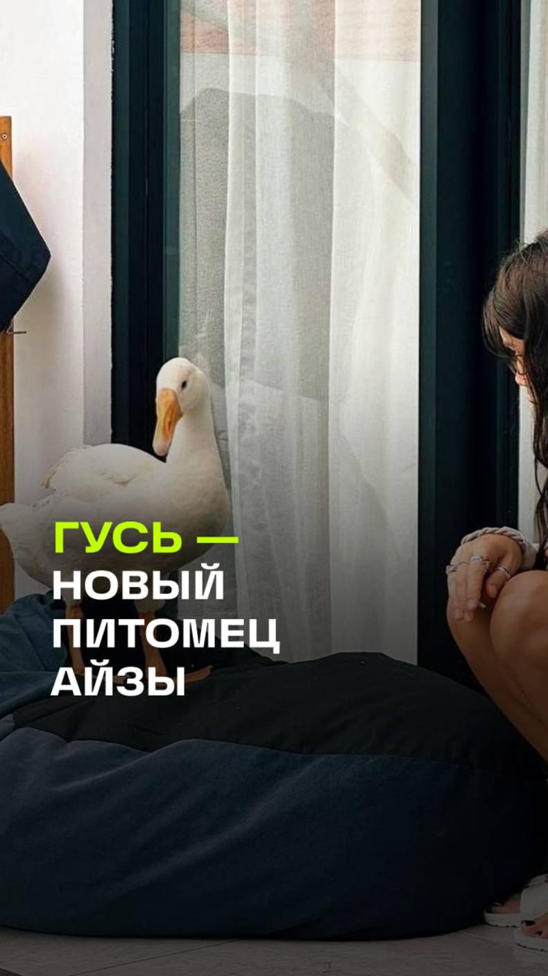 Айза завела гуся: новый тренд среди звездных питомцев?