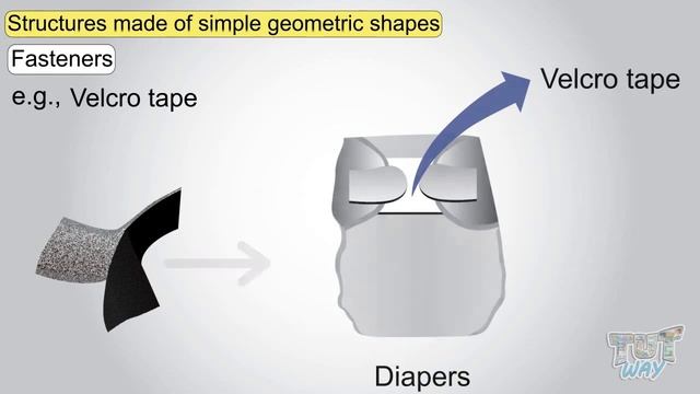 Examples of useful structures in our daily life | Science | Grade-3,4 | TutWay |
