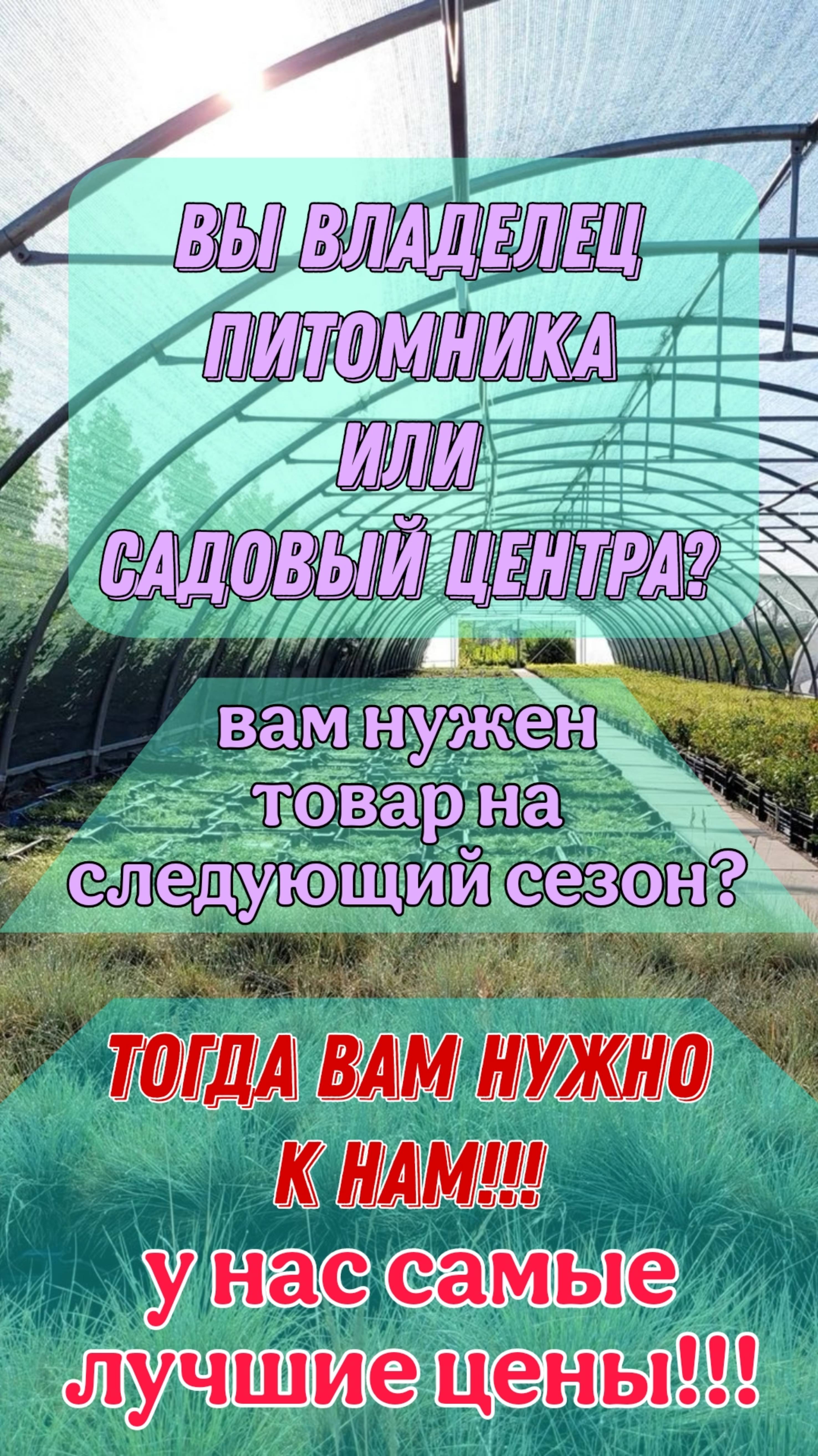 Где брать товар для вашего Садового центра или Питомника Растений?