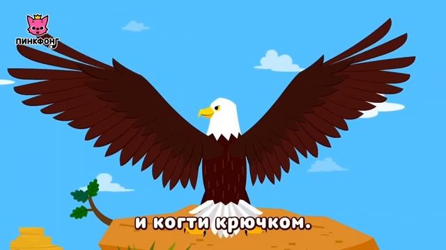 Орёл. 🦅 Стремительный орёл.