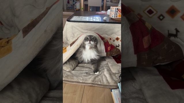 Как? Уже утро?!