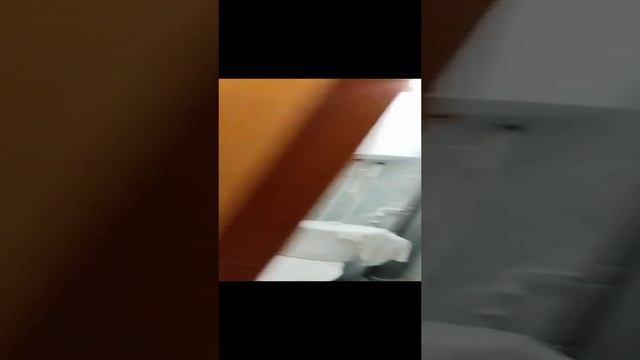 Квартира Шуя