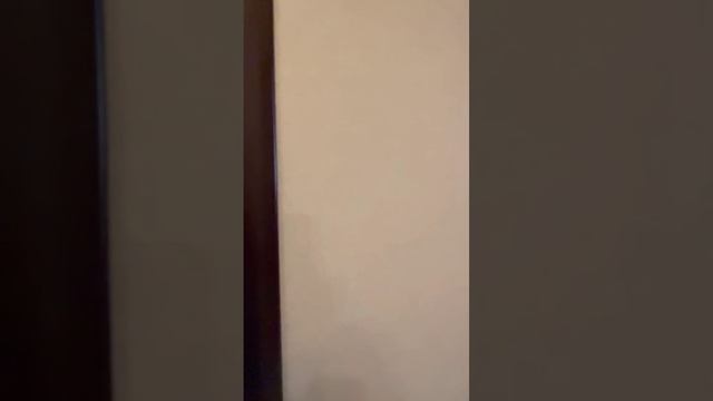 Этажи. Геленджик. ул. Херсонская. Об.3933159
