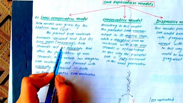 (06) DNA replication models in urdu hindi |DNA replication part.1 by Naimat