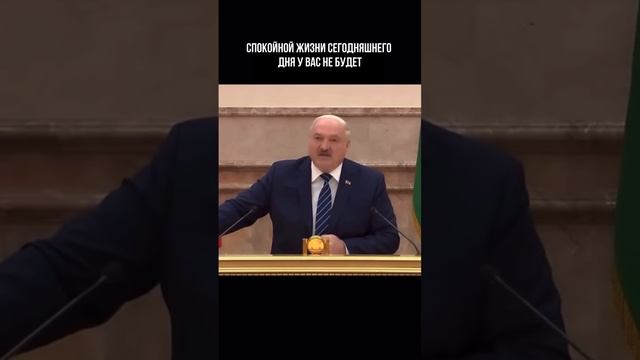 Питомник британских кошек в драгоценных окрасах Al Li MaN