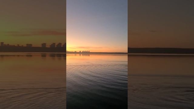 Коля морж