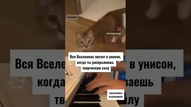 Улыбнитесь,как можно не любить их😂