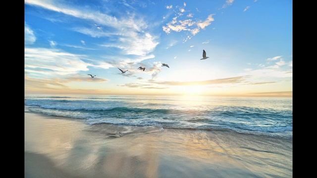 FOCUS, MEDITACION, CONCENTRATION AND RELAXING MUSIC. MUSICA DE CONCENTRACION, RELAJACION Y ENFOQUE.