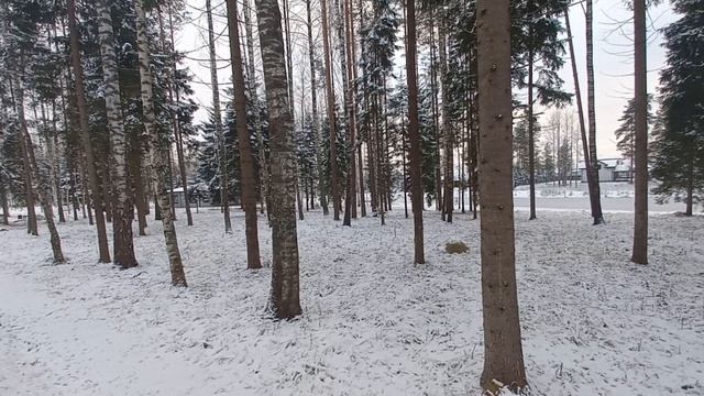 Чернявское 18,5 сотки ДНП.