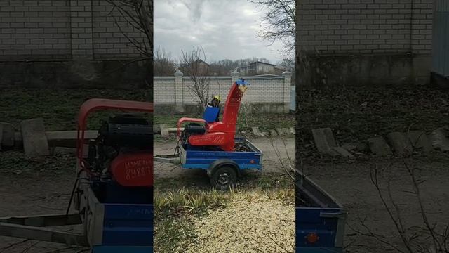 измельчитель веток draxter 550 vs большие ветви ореха