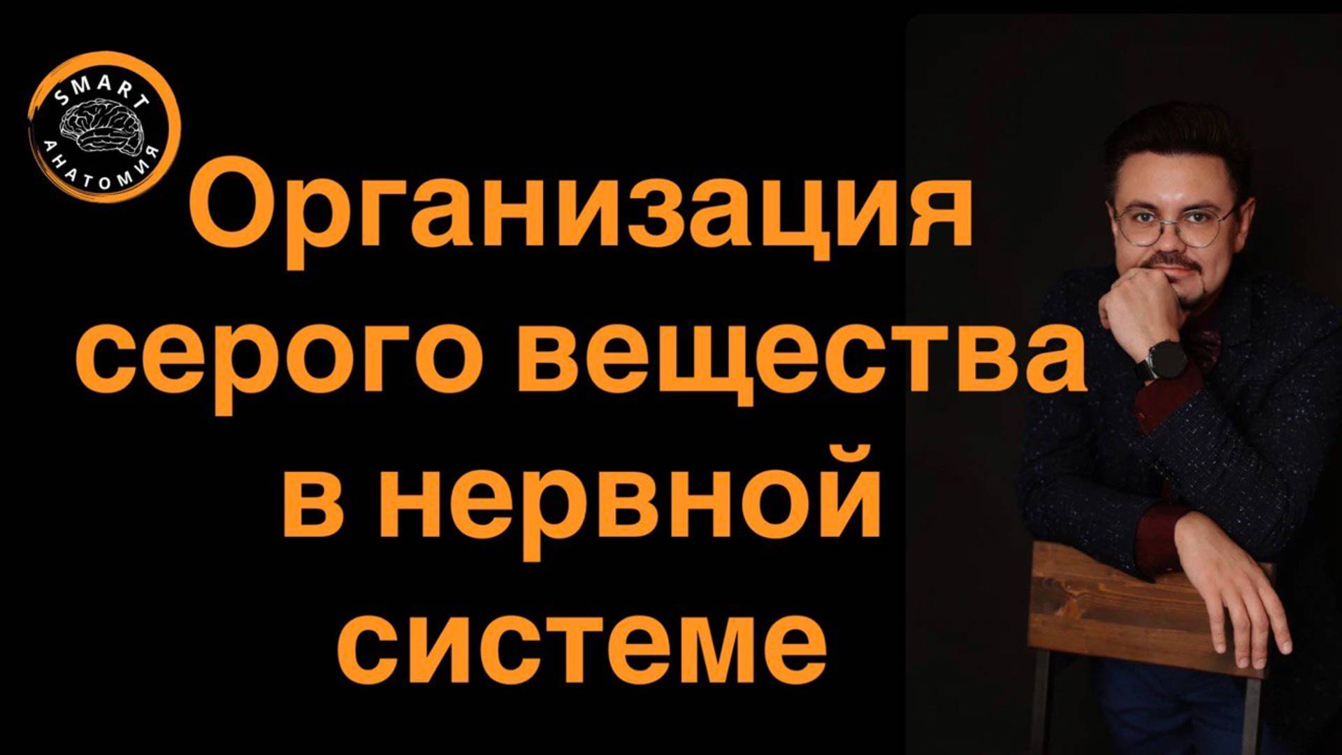 Организации СЕРОГО ВЕЩЕСТВА в нервной системе.