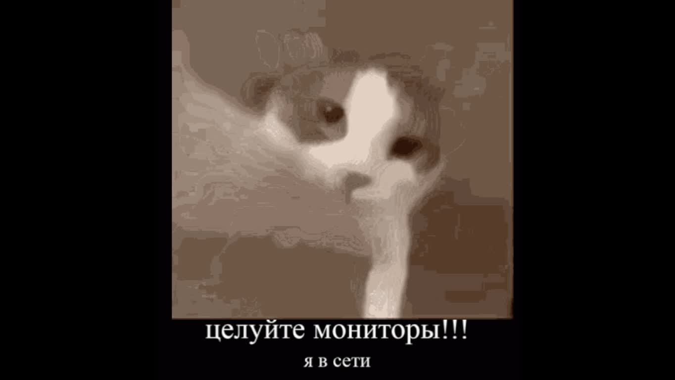 СТРИМ! ДА ТОТ САМЫЙ СТРИМ