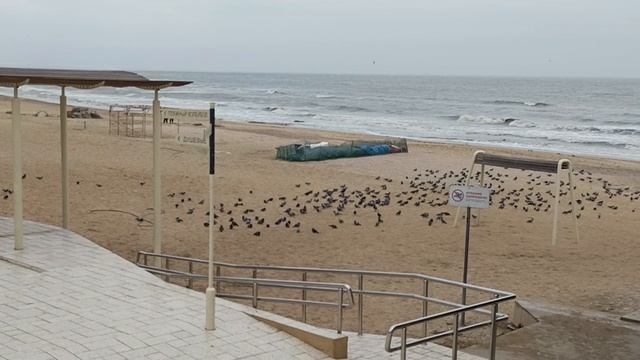 МАХАЧКАЛА ГОРОДСКОЙ ПЛЯЖ 🌊