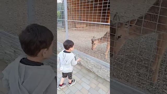 1000027638.mp4