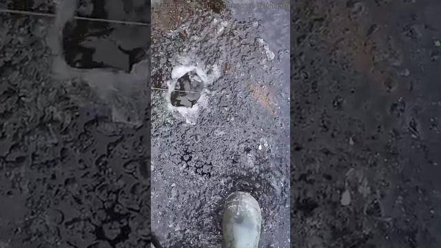 А где-то уже встал первый лед 👆
Ждете? 👍