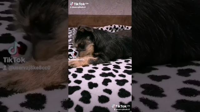 40131349-f1d8-487d-928d-b10f056214e8-watermark.mp4