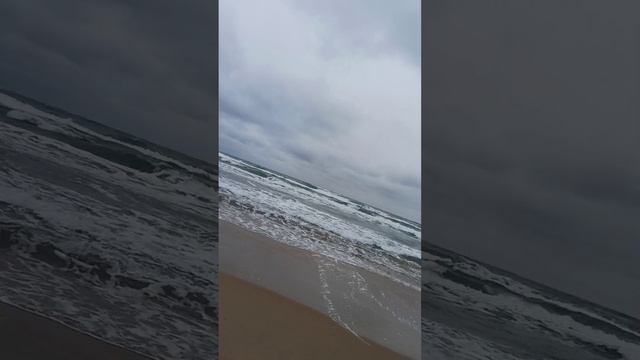 1733999588799.mp4