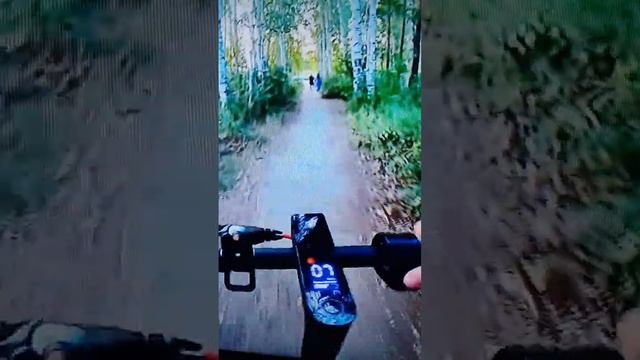 электро самокат