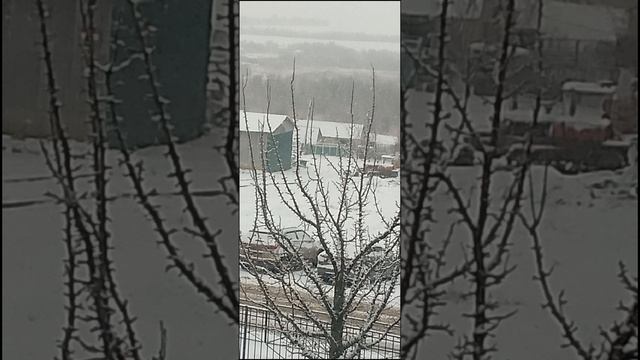 У нас снег выпал