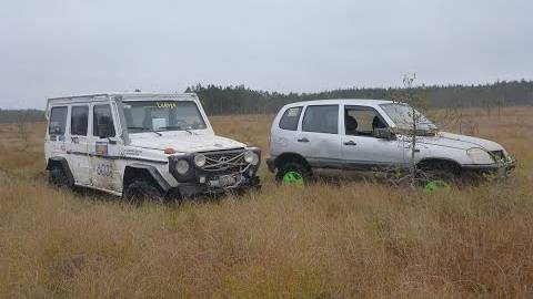 Гелик и Шнива в болоте