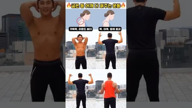 굽은 등 어깨 다 펴주는 운동 #오운완 #등운동 #어깨운동 #라운드숄더