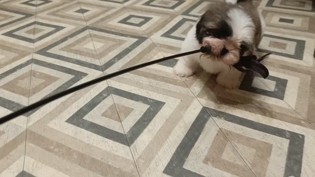 1000047458.mp4