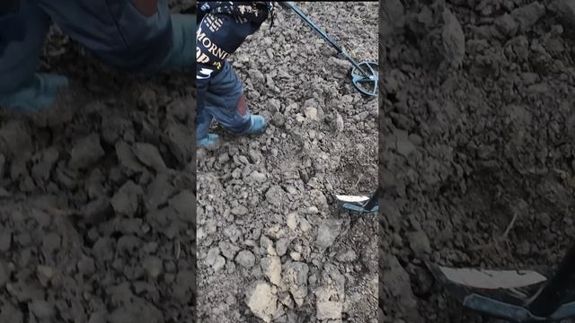 Юный кладоискатель в деле😂