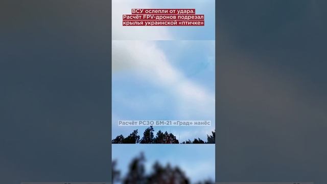 ВСУ ослепли от удара. Расчёт FPV-дронов подрезал крылья украинской «птичке»