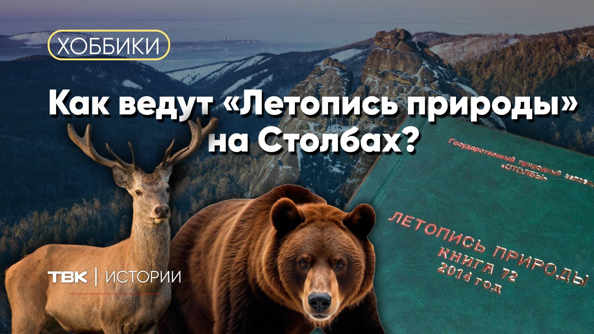 Коллекция видео с фотоловушек на «Столбах» / «Хоббики»
