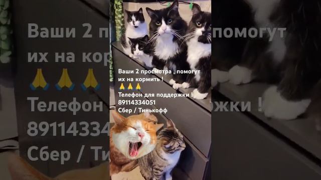 ПОМОГИТЕ ПОЖАЛУЙСТА 12 ХВОСТИКОВ