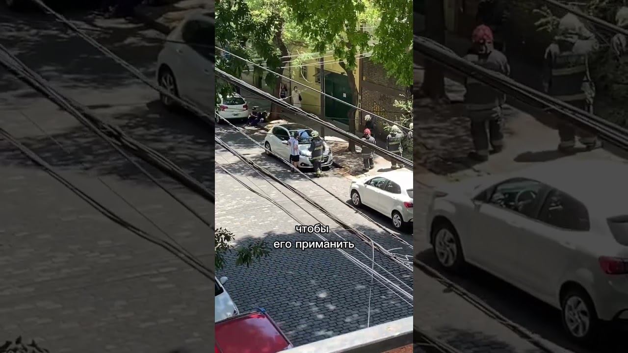 Спасти нельзя оставить. Отличие двух наций