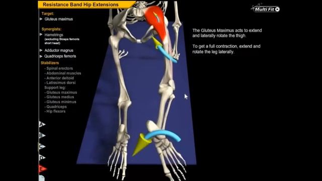 Махи ногами. Основная ошибка