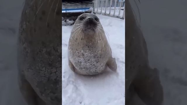1000050128.mp4