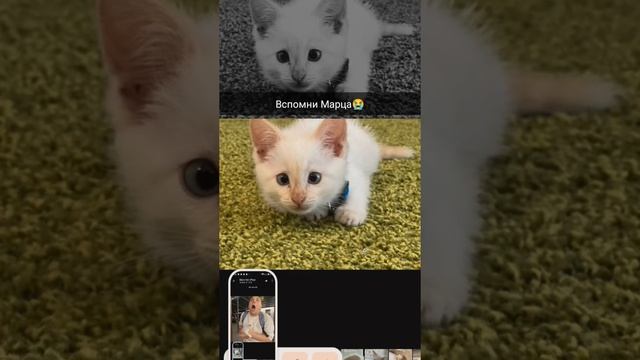Snapchat-70493010.mp4