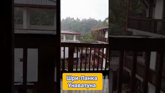 ШРИ-ЛАНКА. УНАВАТУНА. ДЕКАБРЬ 2024. МИН НА ИЗНАНКУ.