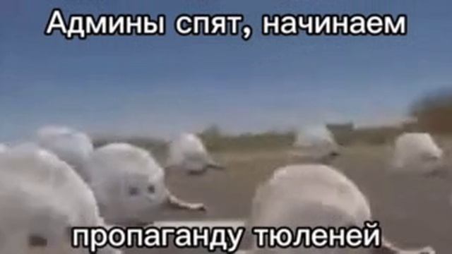 прикол